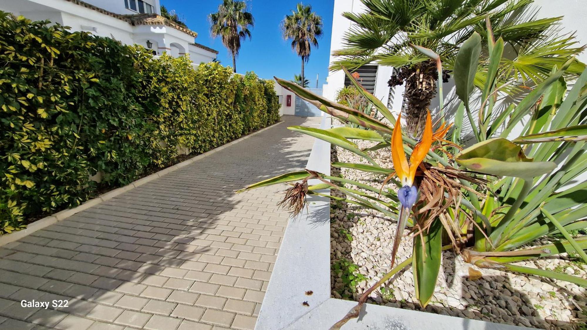 Boutelou Playa Con Vistas Al Mar Apartman Sanlúcar de Barrameda Kültér fotó